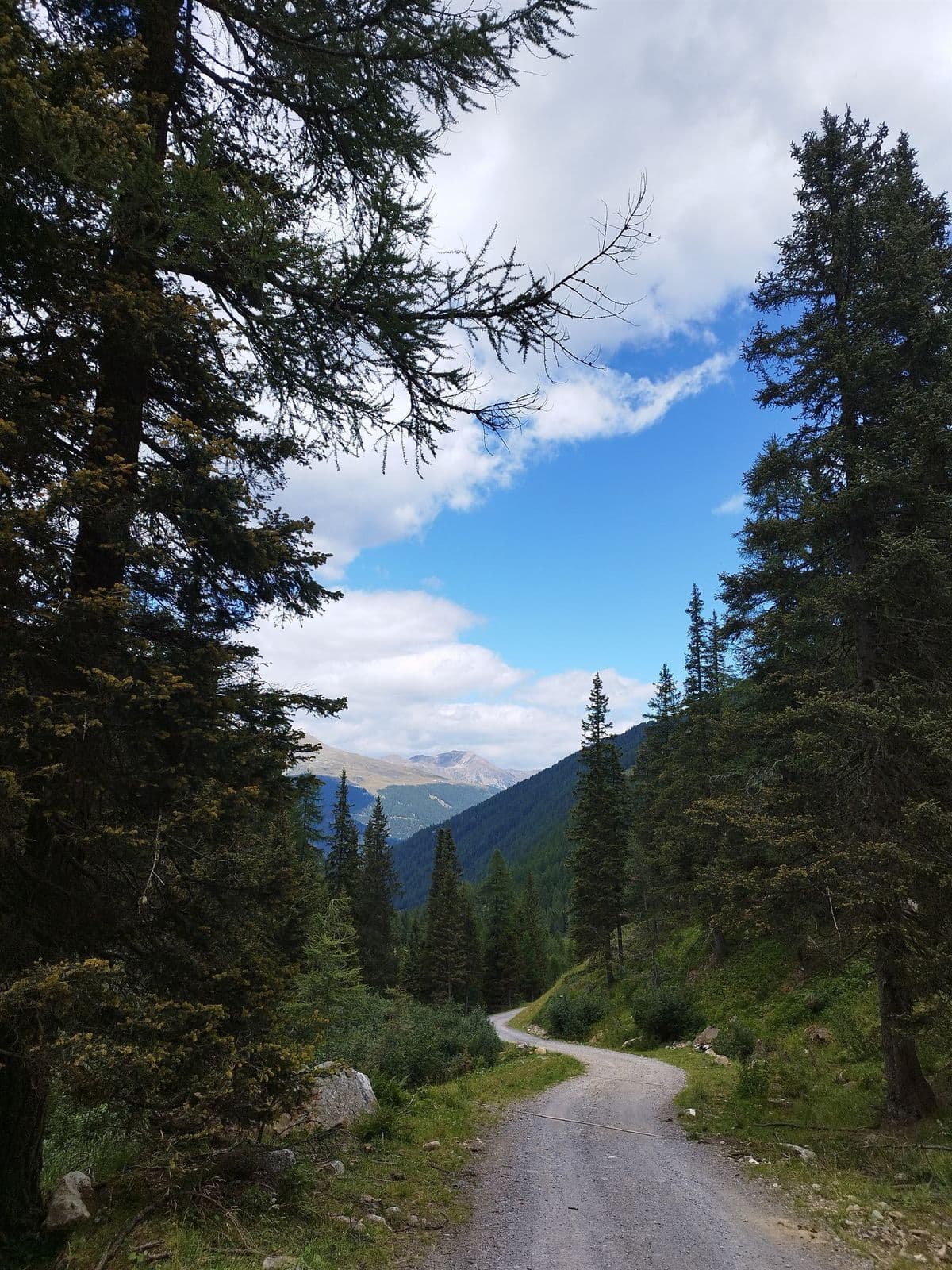 Berglandschaft mit Weg